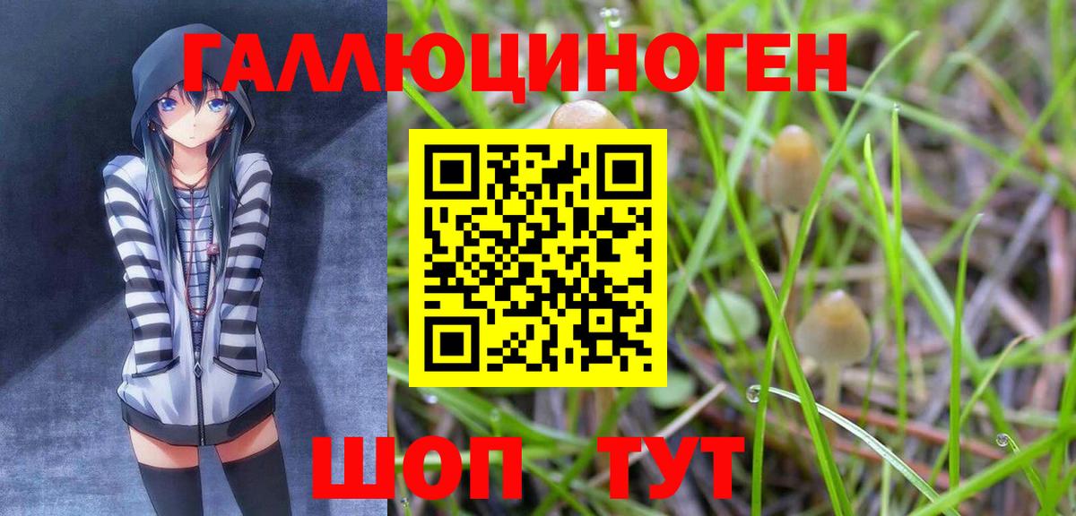 Красный Сулин  Псилоцибиновые грибы Magic Shrooms  Вход с VPN  Псилоцибиновые грибы ЛСД 