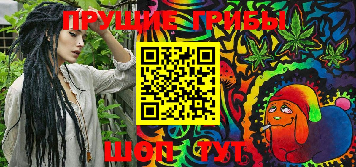 Псилоцибиновые грибы Cubensis Красный Сулин